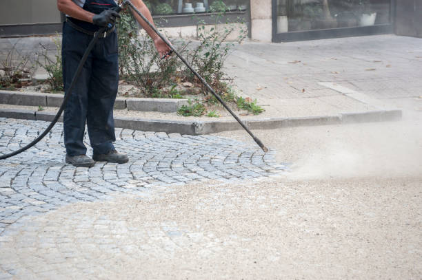 Best Roof Washing  in Port Chester, NY